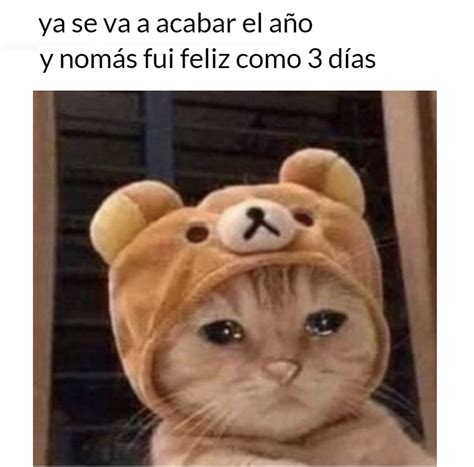 Los Mejores Memes De Los Festejos De Año Nuevo