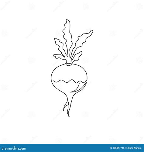 One Continuous Line Drawing Of Whole Healthy Organic White Turnip For