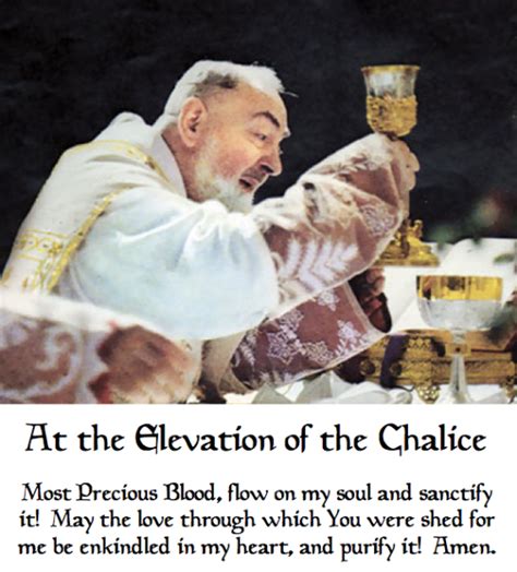 Catholic Christian What To Pray At The Elevation Of The Eucharist