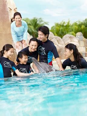 Book Dolphin Island Tickets 2023 | Singapore Attractions