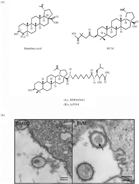 Inhibitors Of Hiv 1 Maturation And Consequences On Viral Core Download Scientific Diagram