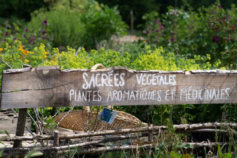 Le Monty Cycle De Formation Se Nourrir Et Se Soigner Par Les Plantes