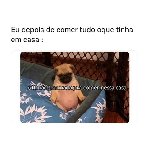 Eu Depois De Comer Tudo Oque Tinha Em Casa Aff N O Tem Nada Pra Comer