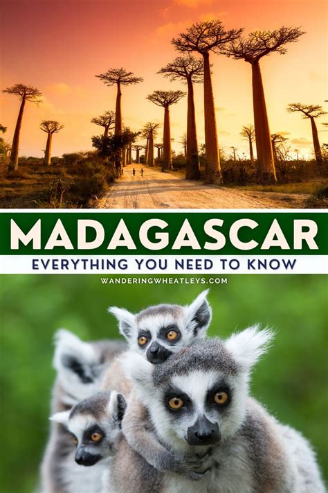 Complete Guide To Madagascar Everything You Need To Know Madagascar