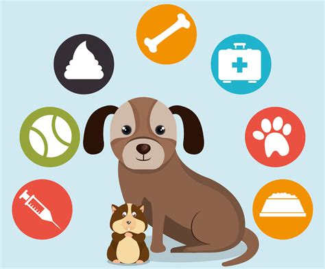 Pet Medicines Everything You Need To Know Epetspk