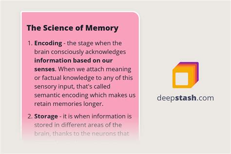 The Science Of Memory Deepstash