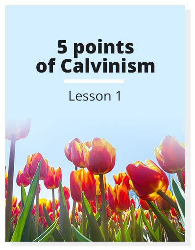 Calvinism Tulip