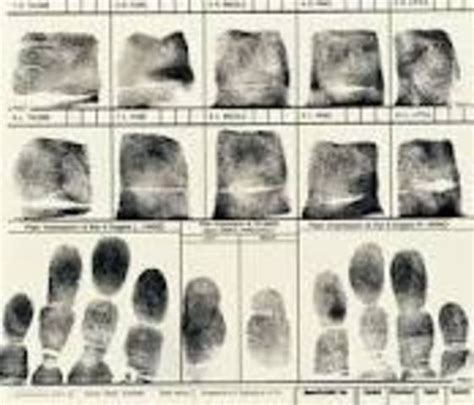 Forensics Science 1945-1965 timeline | Timetoast timelines