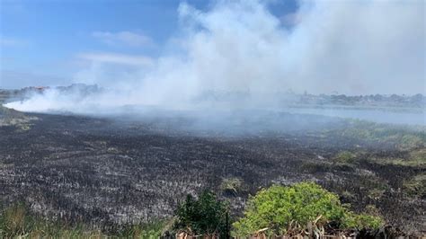 Man Arrested On Suspicion Of Arson In Carlsbad Brush Fire