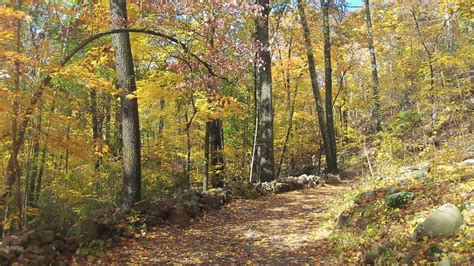 Fall Foliage in Connecticut - Weather Photo (32933154) - Fanpop