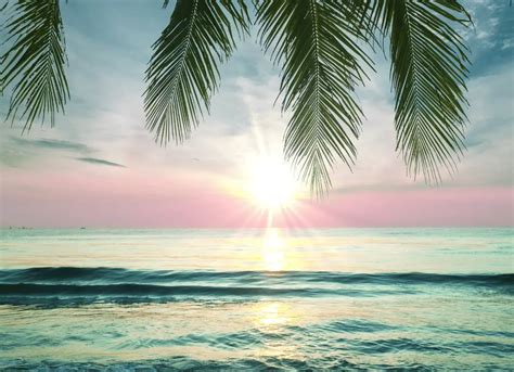 Tropical Captions And Quotes For Paradise Vibes