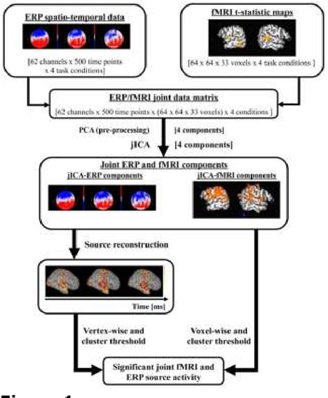 Figure 1 From Within Subject Joint Independent Component Analysis Of