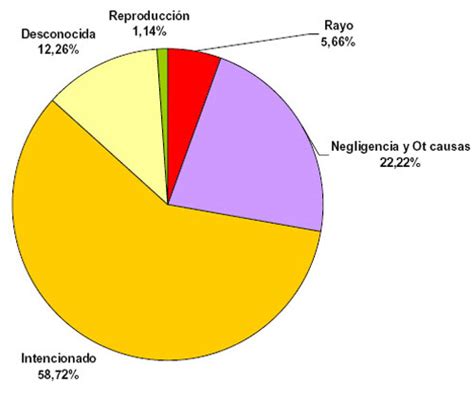 MNEMOGRAFO: CAUSAS DE LOS INCENDIOS FORESTALES