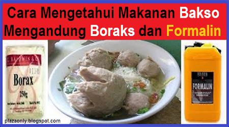 Cara Mengetahui Makanan Bakso Mengandung Boraks Dan Formalin Plaza Only