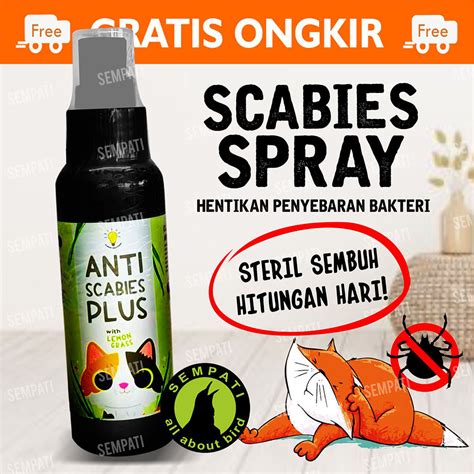 Jual Clever Solutions Anti Scabies Plus Obat Spray Sprai Basmi Jamur