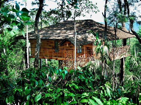 Kerala Treehouse - Holidays in Kerala Tree house Resorts