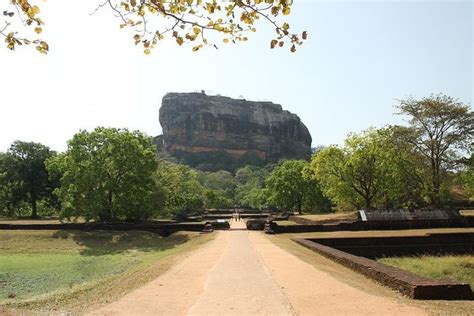 Colombo Explore La Fortaleza De Roca Sigiriya Y El Templo De La