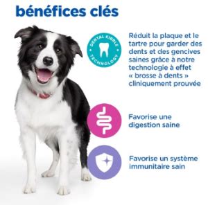 Hill S VET ESSENTIALS MULTI BENEFIT DENTAL Croquettes Pour Chien