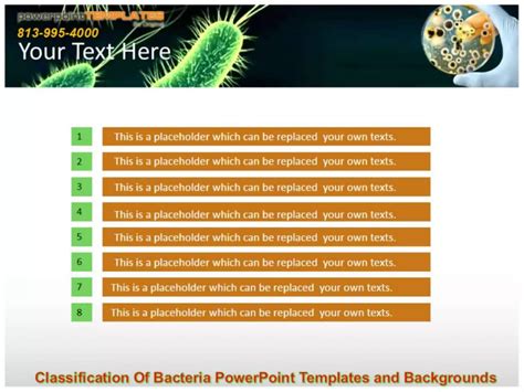 Classification Of Bacteria Power Point Templates And Backgrounds Ppt