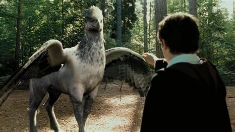 El Ave Gigante De Hagrid En Harry Potter Buckbeak Y Su Papel Crucial