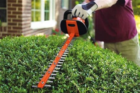 Best Electric Hedge Trimmers Of Compared Reviewed Wezaggle