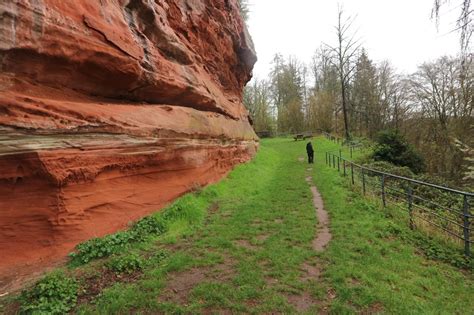 Ch Teau Du Falkenstein Kasteel In De Bossen Van De Noordelijke Vogezen