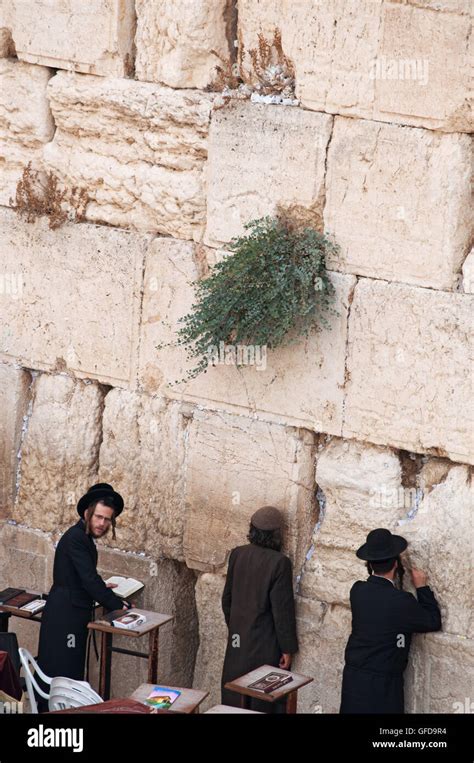 Jerusalén hombres judíos rezan en el Muro Occidental el Muro de los