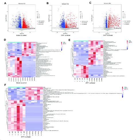 Volcano Plot And Heat Map Of The Differential Metabolites A C