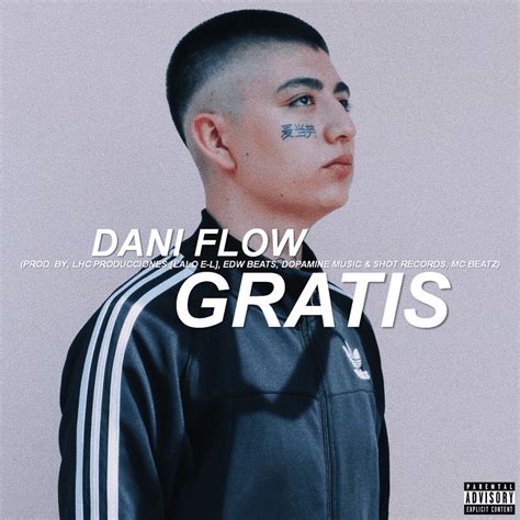 Dani Flow – Flow Lyrics | Genius Lyrics