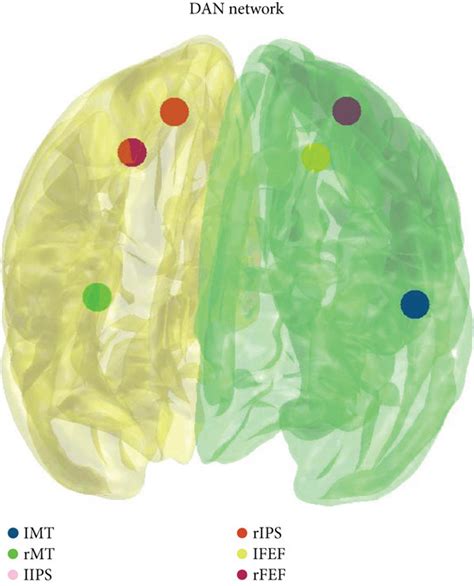 Dorsal Attention Network Seeds Used For The Rs Fmri Data Analysis