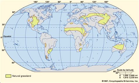 Charting The World’s Grasslands A Comprehensive Overview Oklahoma Rivers Map Explore The