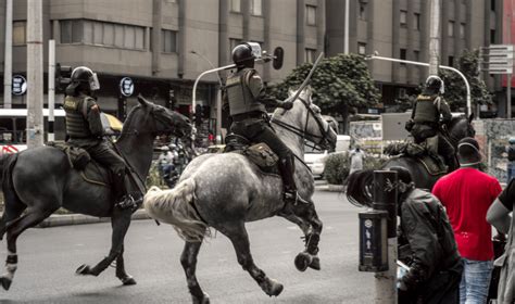 Petro sanciona ley que prohíbe el uso de animales por la Fuerza Pública