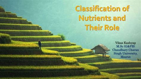 Classification And Role Of Plant Nutrients Ppt