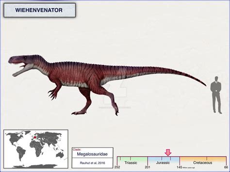 Cisiopurple User Profile Deviantart Prehistoric Animals