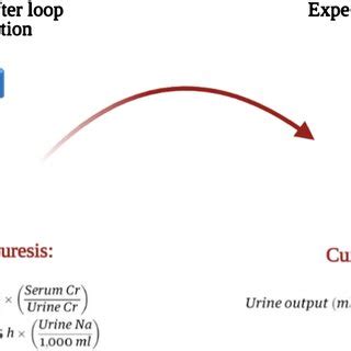 Mechanism of action for loop diuretics | Download Scientific Diagram