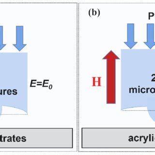 Main Principles Of Wet Adhesion A Capillarity And Stefan Adhesion