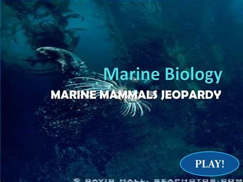 Ppt Marine Biology Powerpoint Presentation Free Download Id2183882