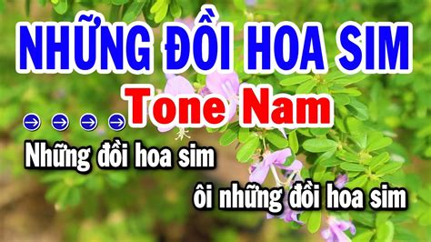 Karaoke Những Đồi Hoa Sim Tone Nam Nhạc Sống Beat Hay Nhất 2024