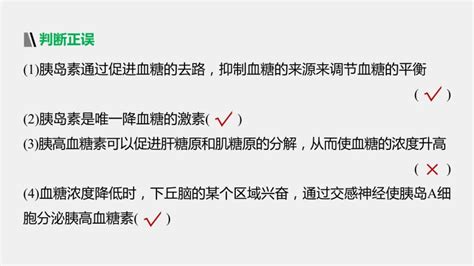 高中生物苏教版 2019选择性必修1 稳态与调节第二章 人体内环境与稳态第二节 血糖平衡的调节优秀ppt课件 教习网课件下载