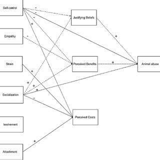 Statistically Significant Direct Solid Lines And Indirect Paths