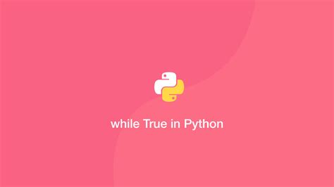 How To Use While True In Python Skillsugar