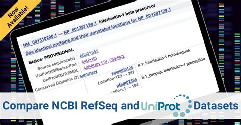 Now Available! Compare NCBI RefSeq and UniProt Datasets - NCBI Insights