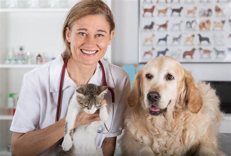 Pet Health