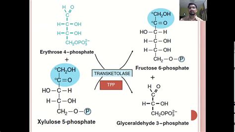 HMP Shunt Pathway Hexose Mono Phosphate Shunt YouTube