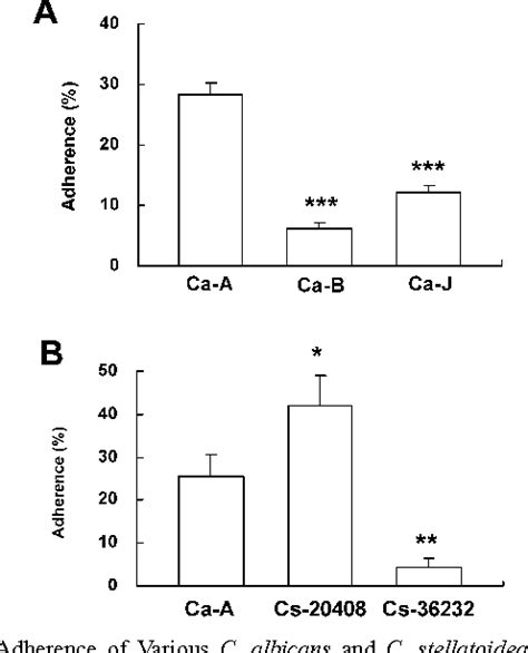 Figure 2 From Comparison Of Pathogenicity Of Various Candida Albicans