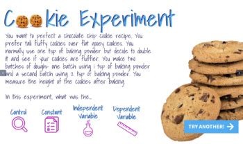 Controlled Experiment Interactive Diagram by Science Lessons That Rock