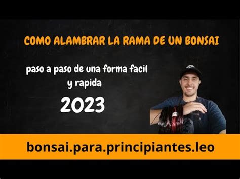 Como Alambrar Una Rama De Un Bonsai 2023 YouTube