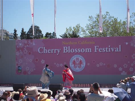 California Living: San Francisco Cherry Blossom Festival/桜祭り