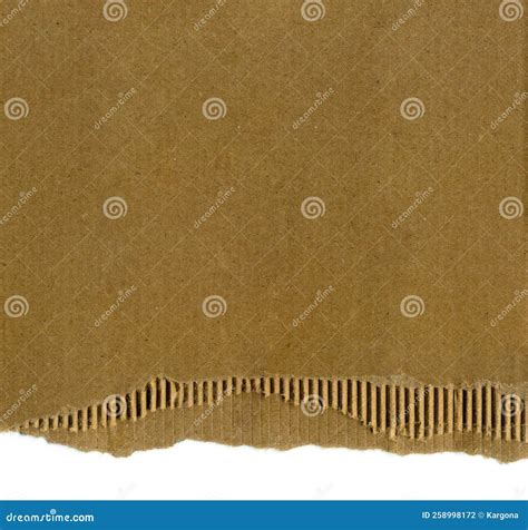 Blank Rough Cardboard Sheet With One Torn Edge Carton Layers Are Seen