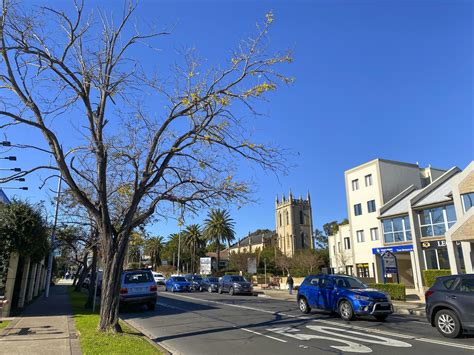 Penrith, Australia 2012 A beautiful winter tree in Penrith located west ...